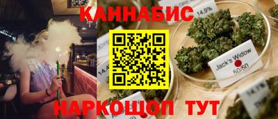 стаф Кимры