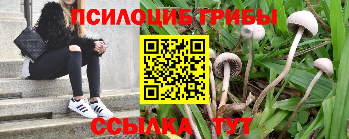 Галлюциногенные грибы ЛСД  Вход с VPN  Галлюциногенные грибы ЛСД  Гусиноозёрск 